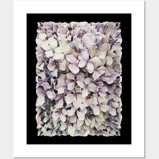 Hydrangea/Hortensia Graphic Design Floral Pattern Posters and Art